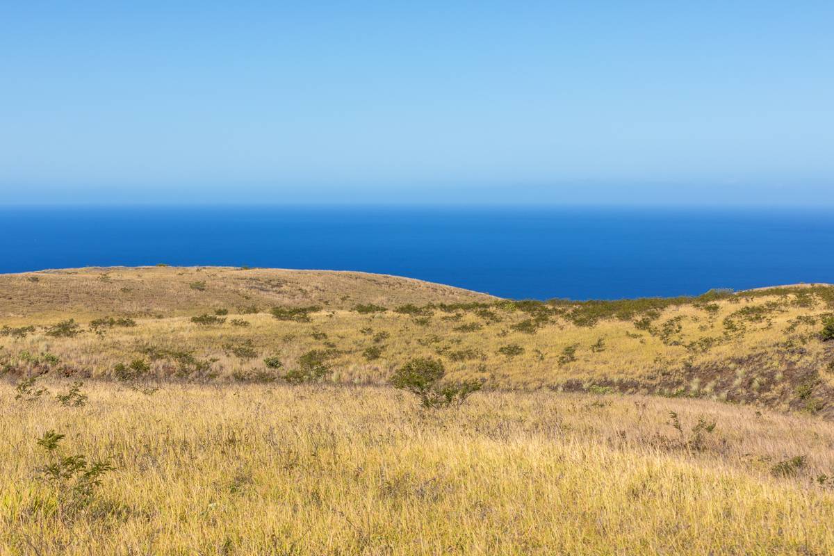 Kamuela, HI 96743,KAMAKANI LOOP