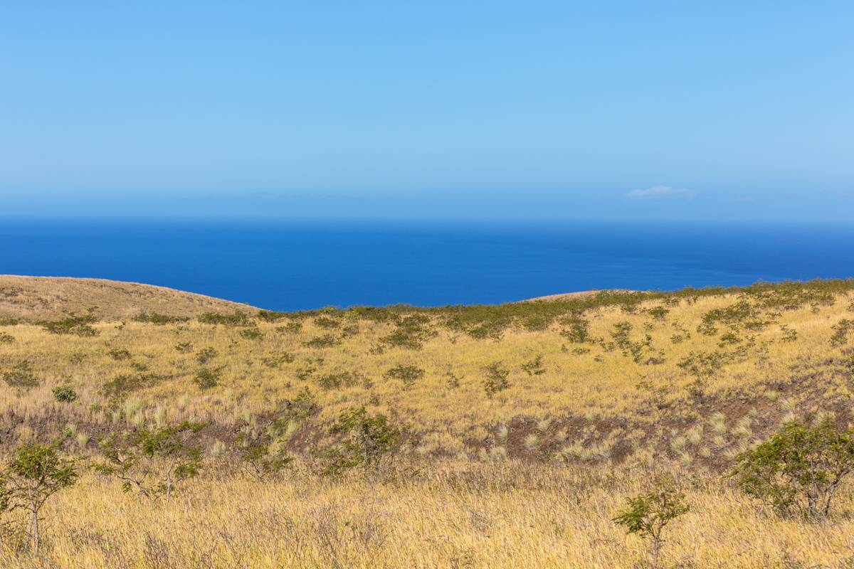 Kamuela, HI 96743,KAMAKANI LOOP