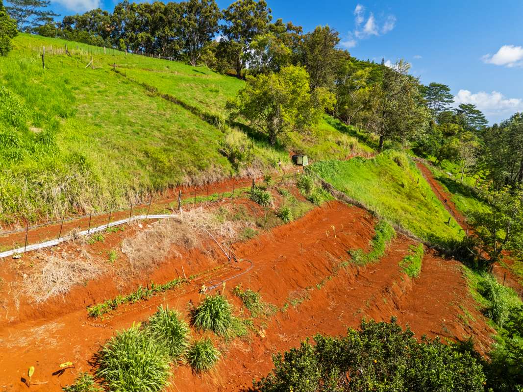 Kalaheo, HI 96741,KAUMUALII HWY