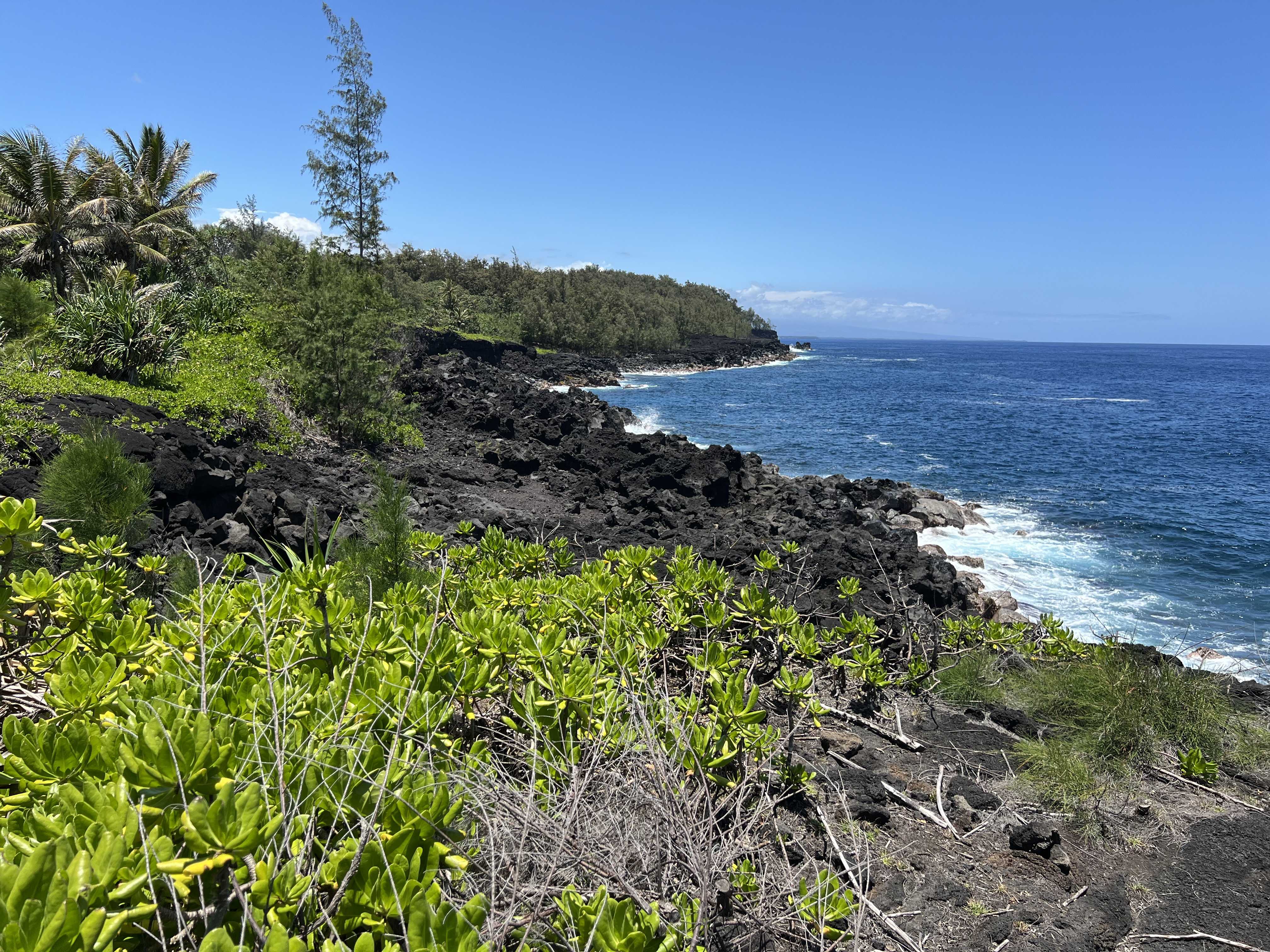Pahoa, HI 96778,GOVERNMENT BEACH RD