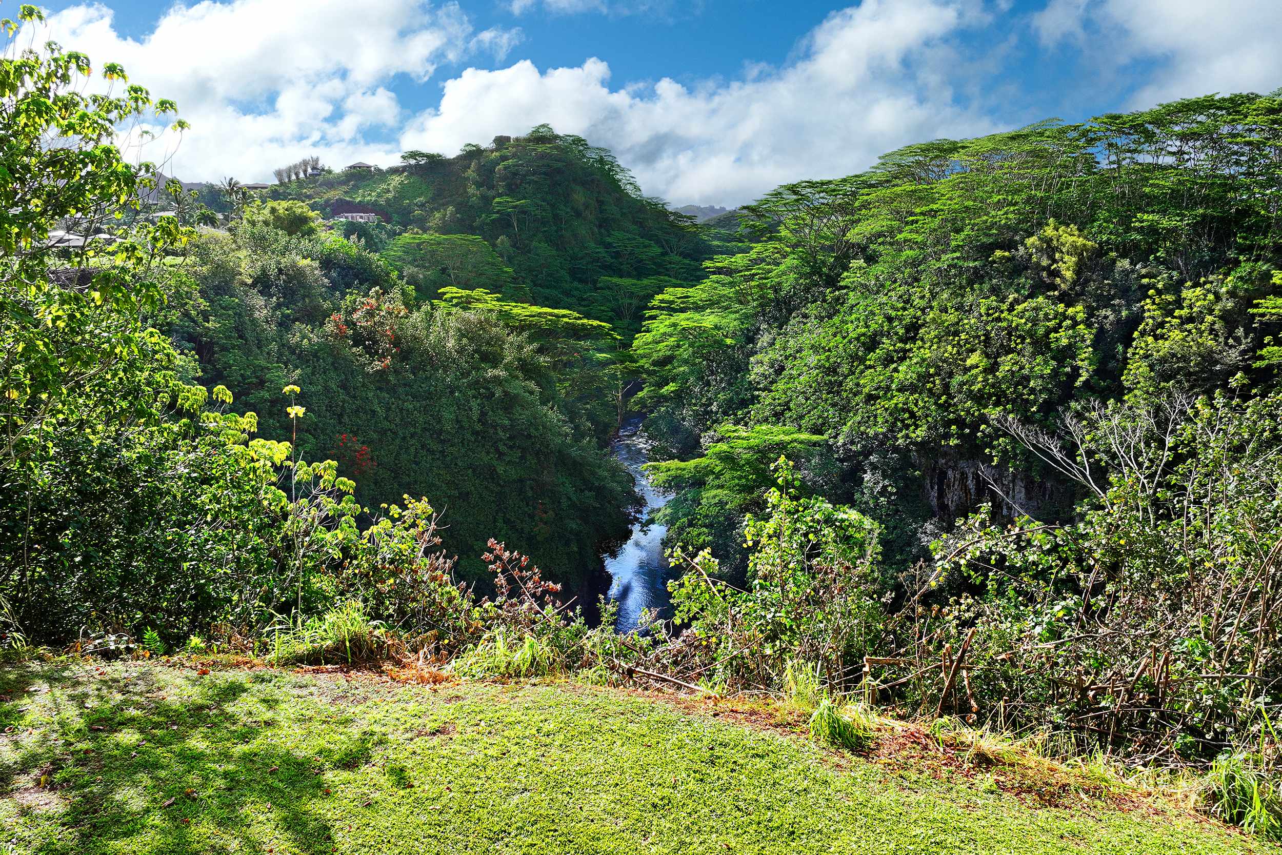 Kapaa, HI 96746,NO KA OI PL