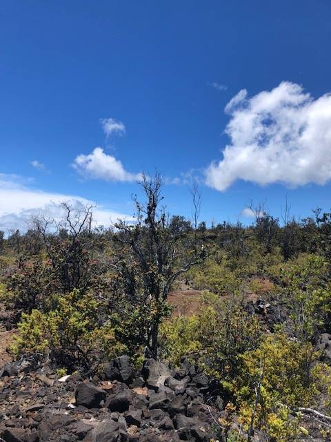 Ocean View, HI 96737,PINEAPPLE PKWY