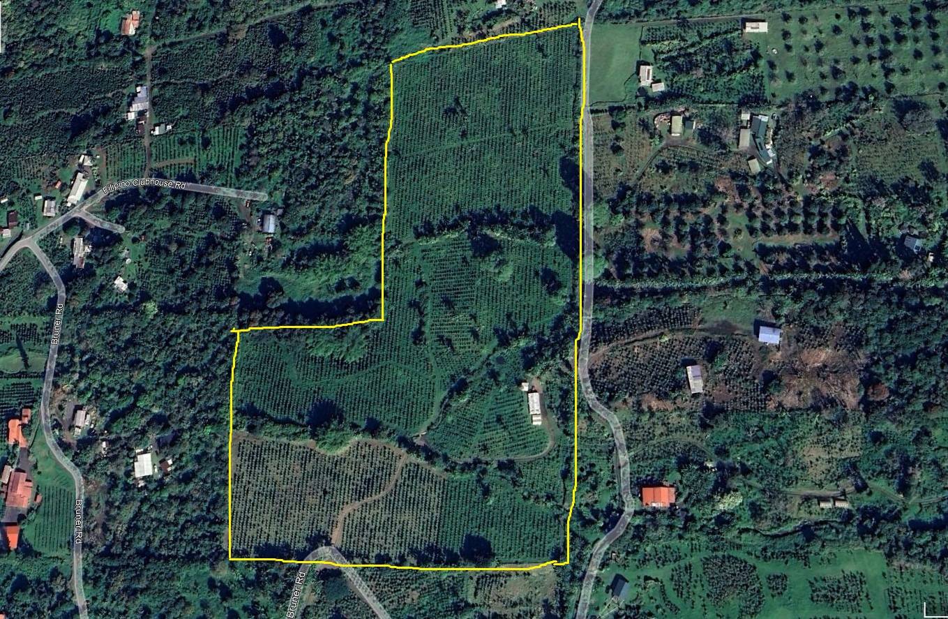 Captain Cook, HI 96704