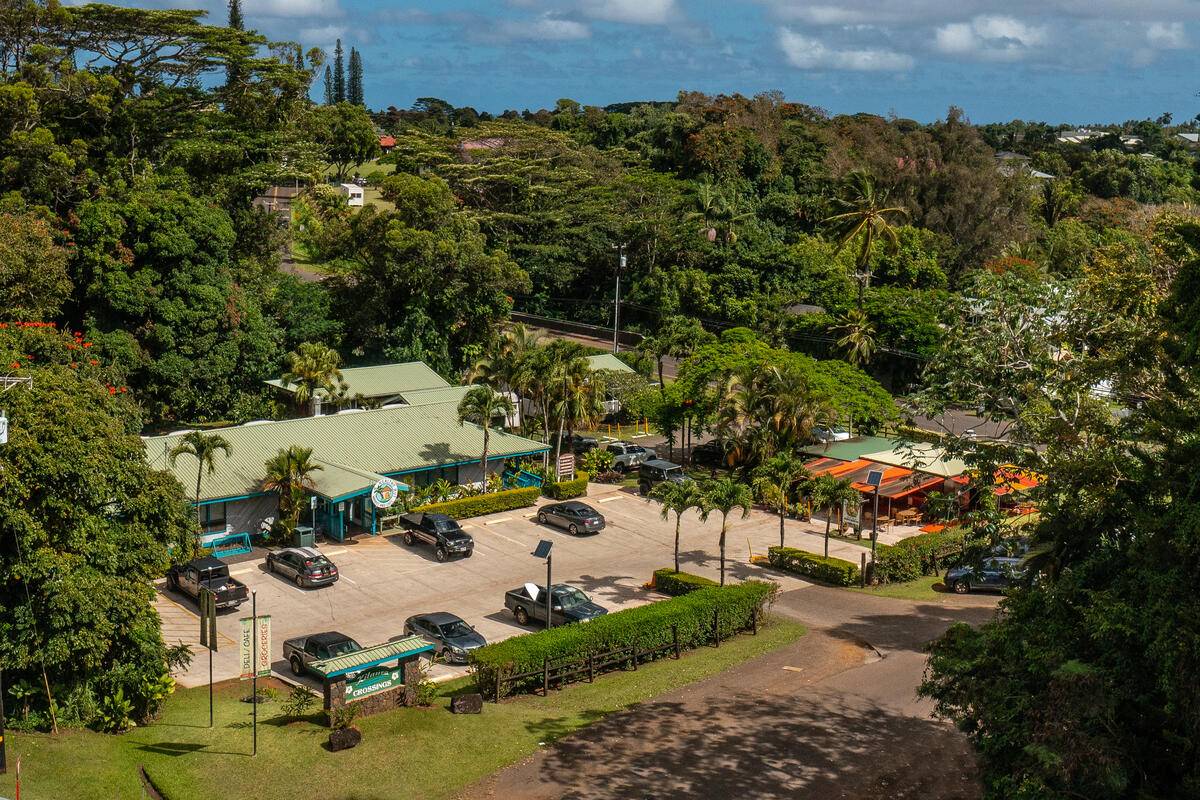 4460 HOOKUI RD #5, Kilauea, HI 96754