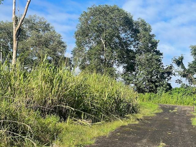 Kurtistown, HI 96760