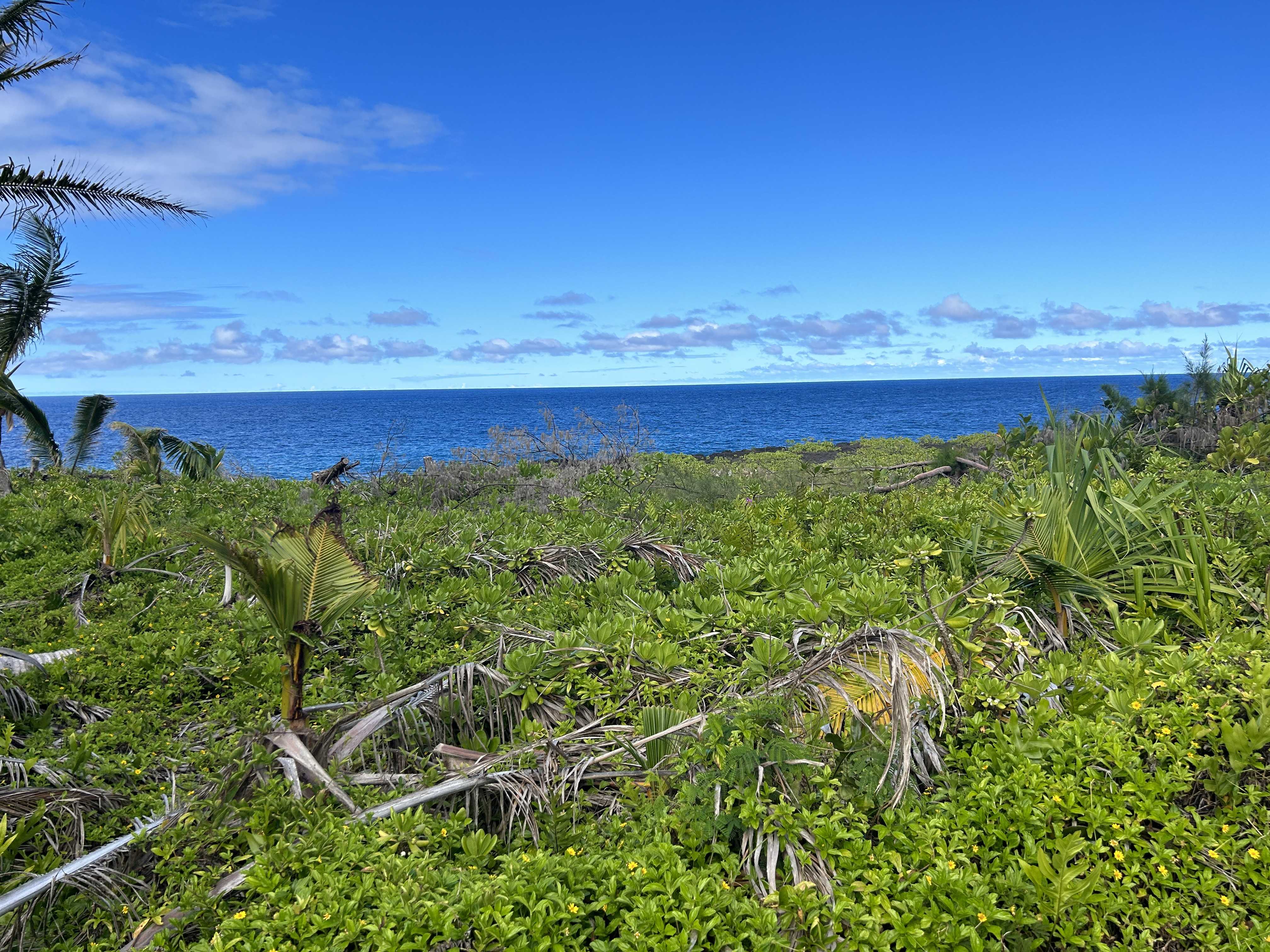 Pahoa, HI 96778,WELEA ST