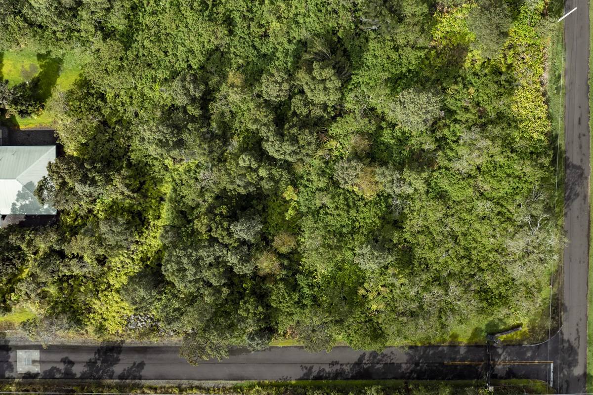 19-3140 MAMAKI LN, Volcano, HI 96785