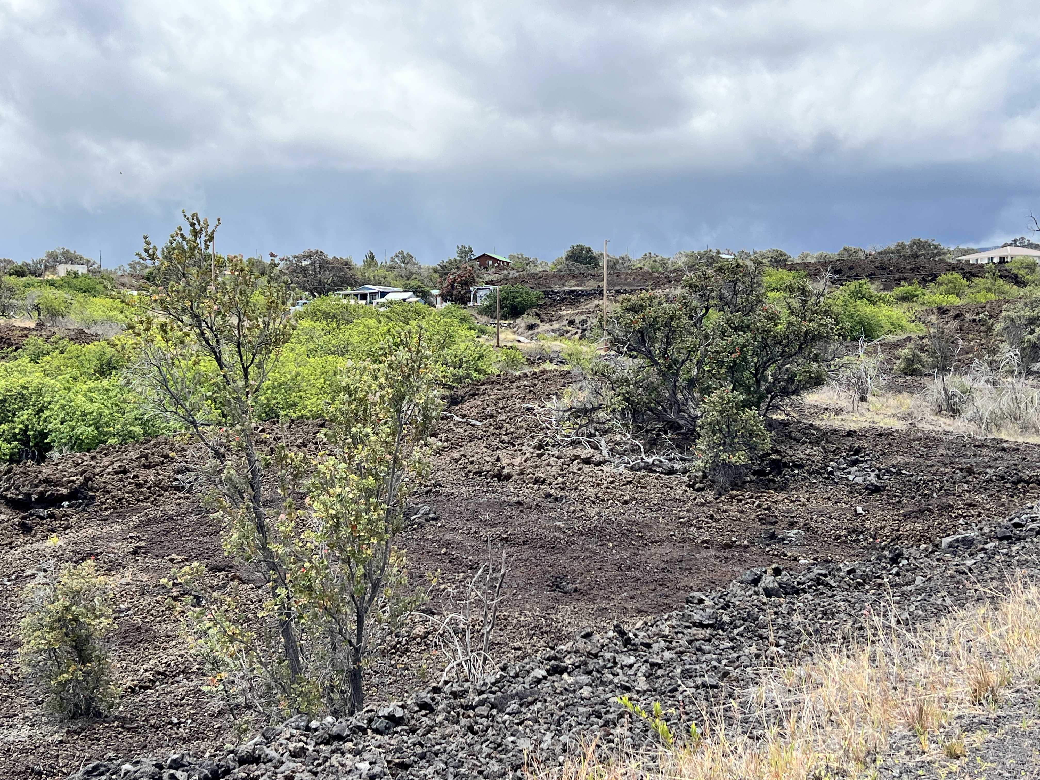 Ocean View, HI 96737,ALII BLVD