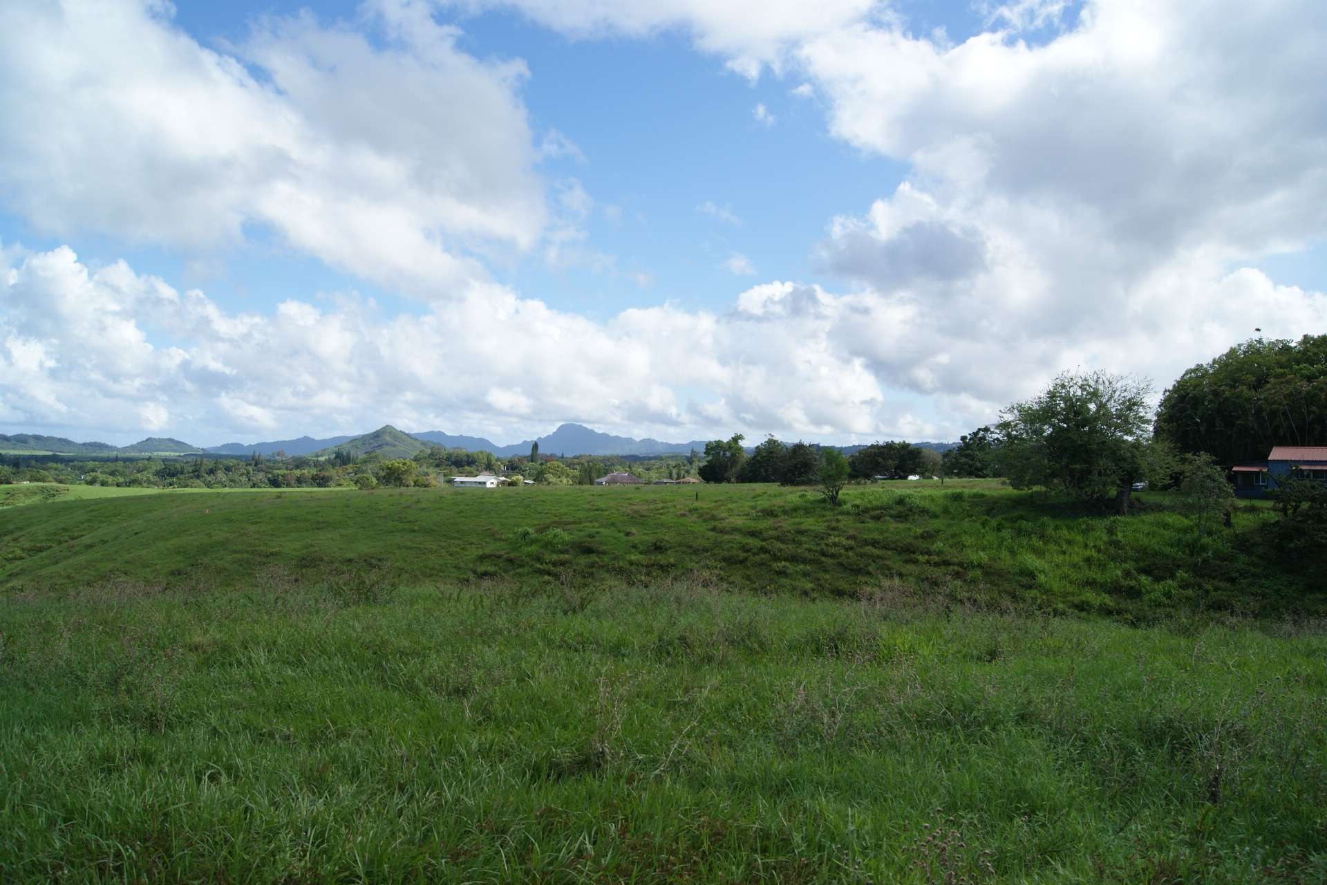 Kapaa, HI 96746,OLOHENA RD