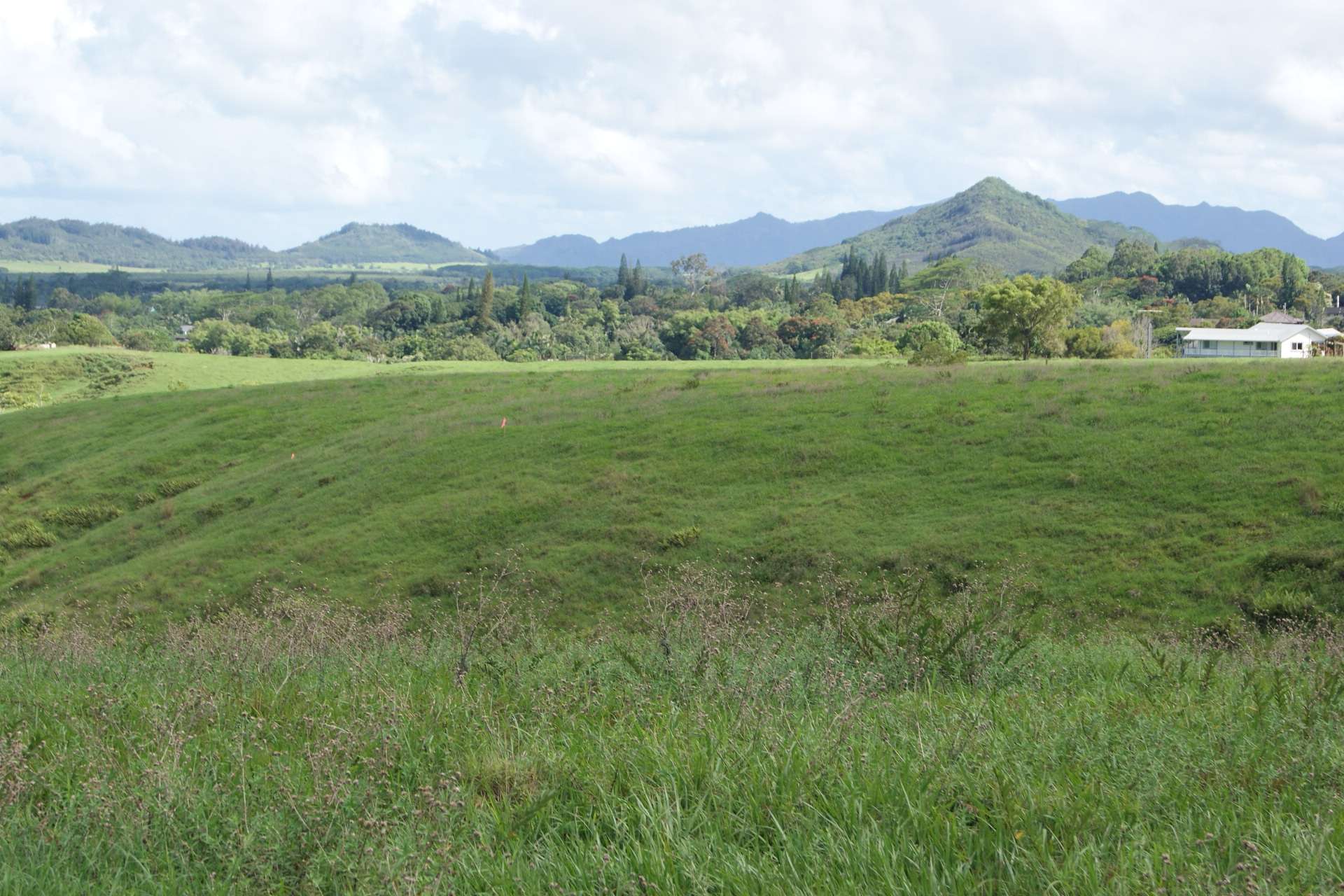 Kapaa, HI 96746,OLOHENA RD