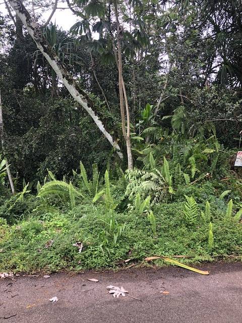 Pahoa, HI 96778,PUNI MAKAI LOOP