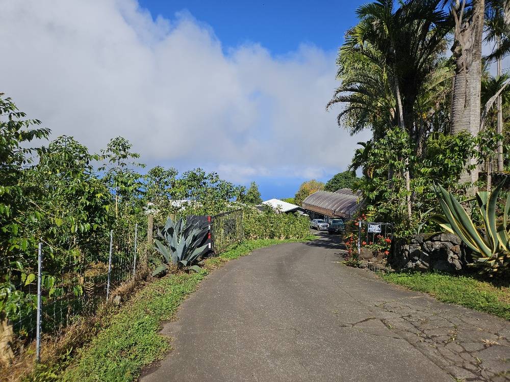 82-1187 GREENWELL MOUNTAIN RD, Captain Cook, HI 96704