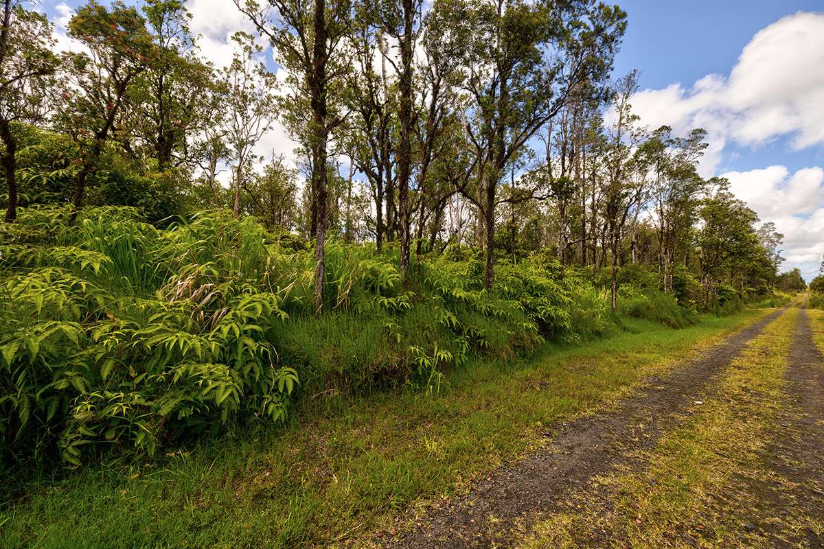 Mountain View, HI 96771,WAILELE ST