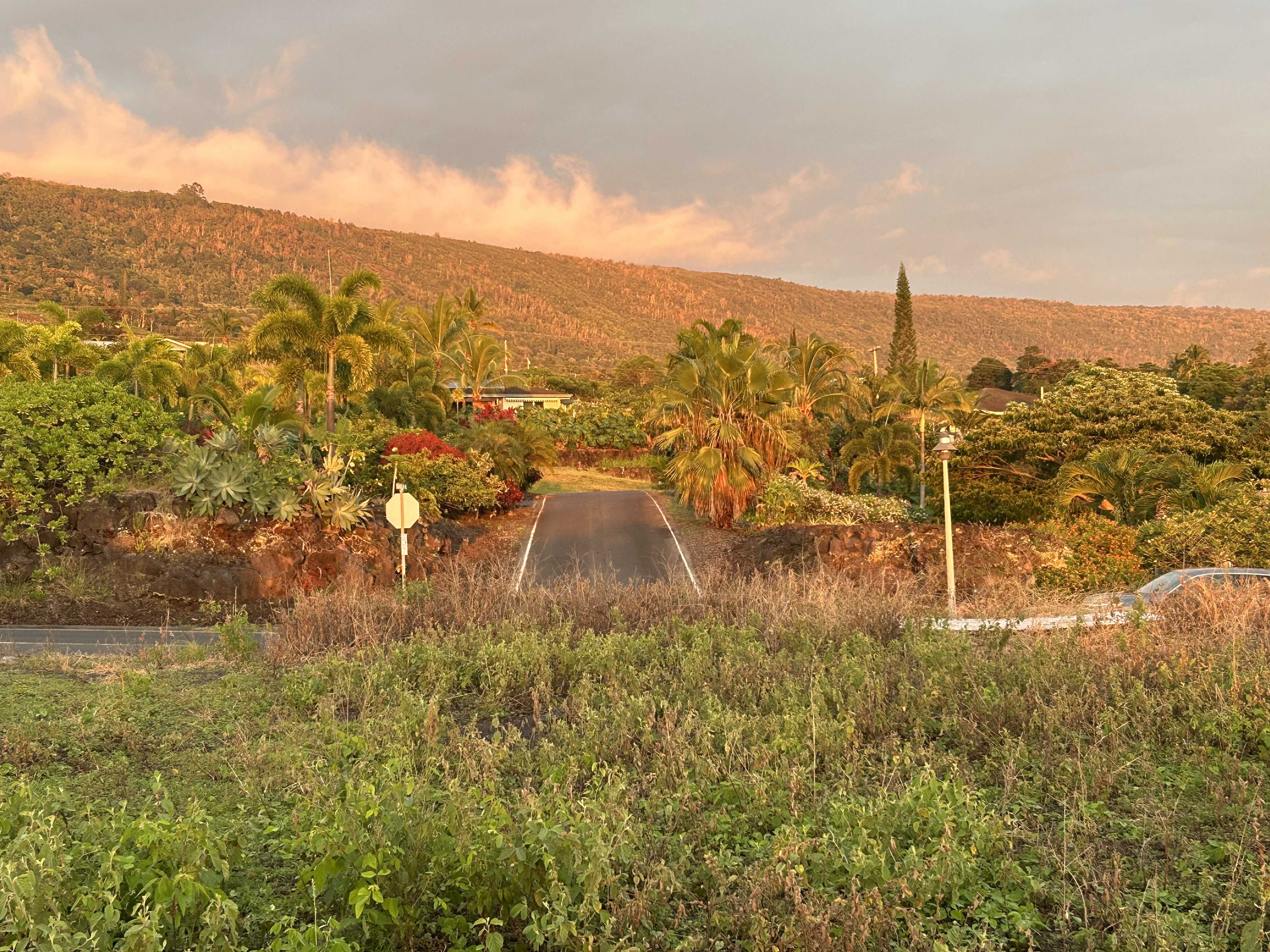 Captain Cook, HI 96704,83-5673 KANELE STREET