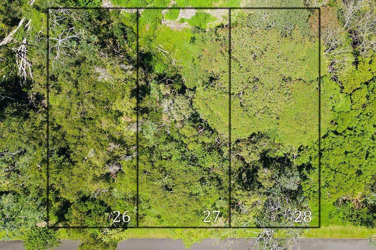 Pahoa, HI 96778,NENUE ST