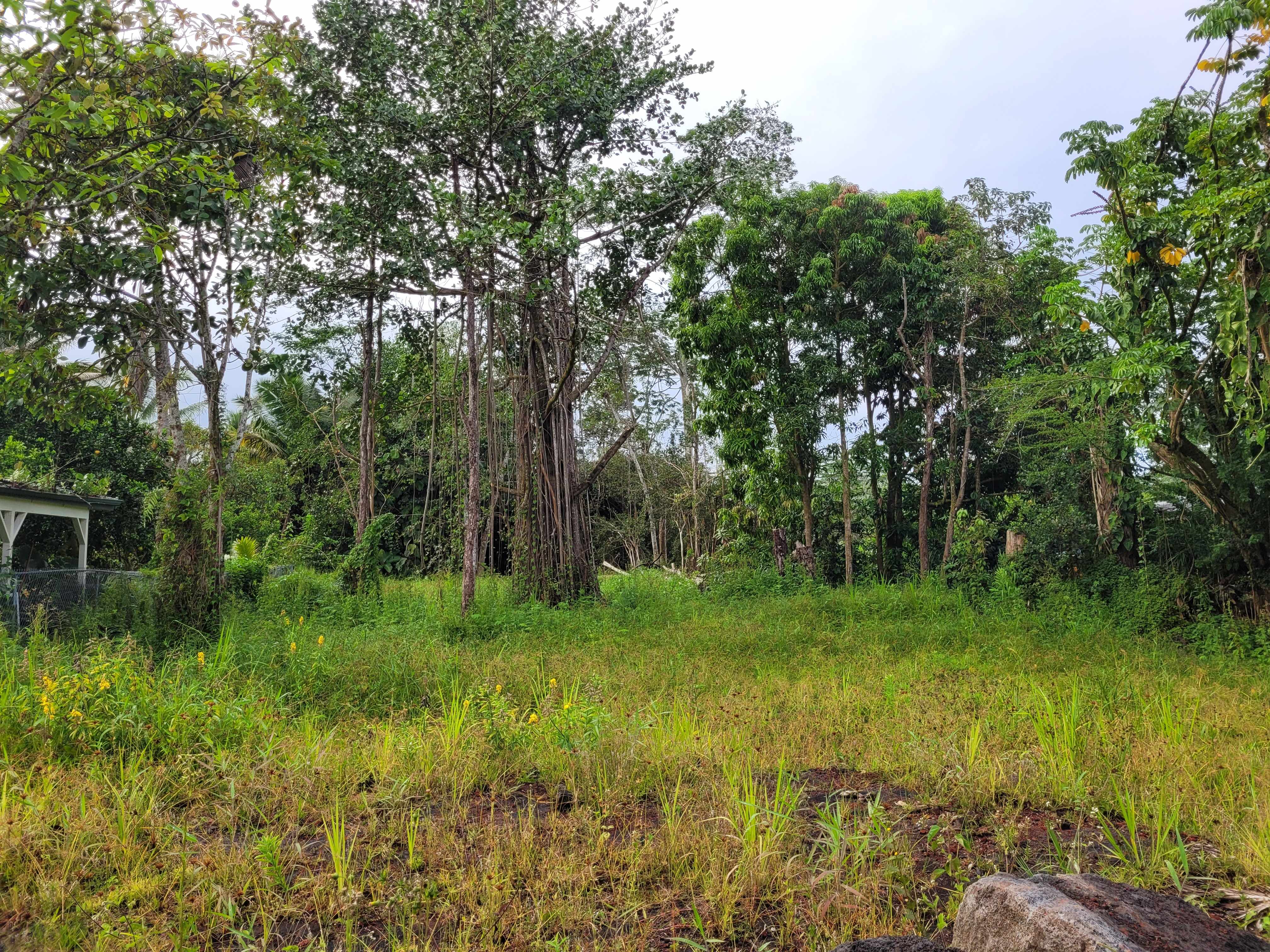 Pahoa, HI 96778,15-674 PUNI MAUKA LOOP