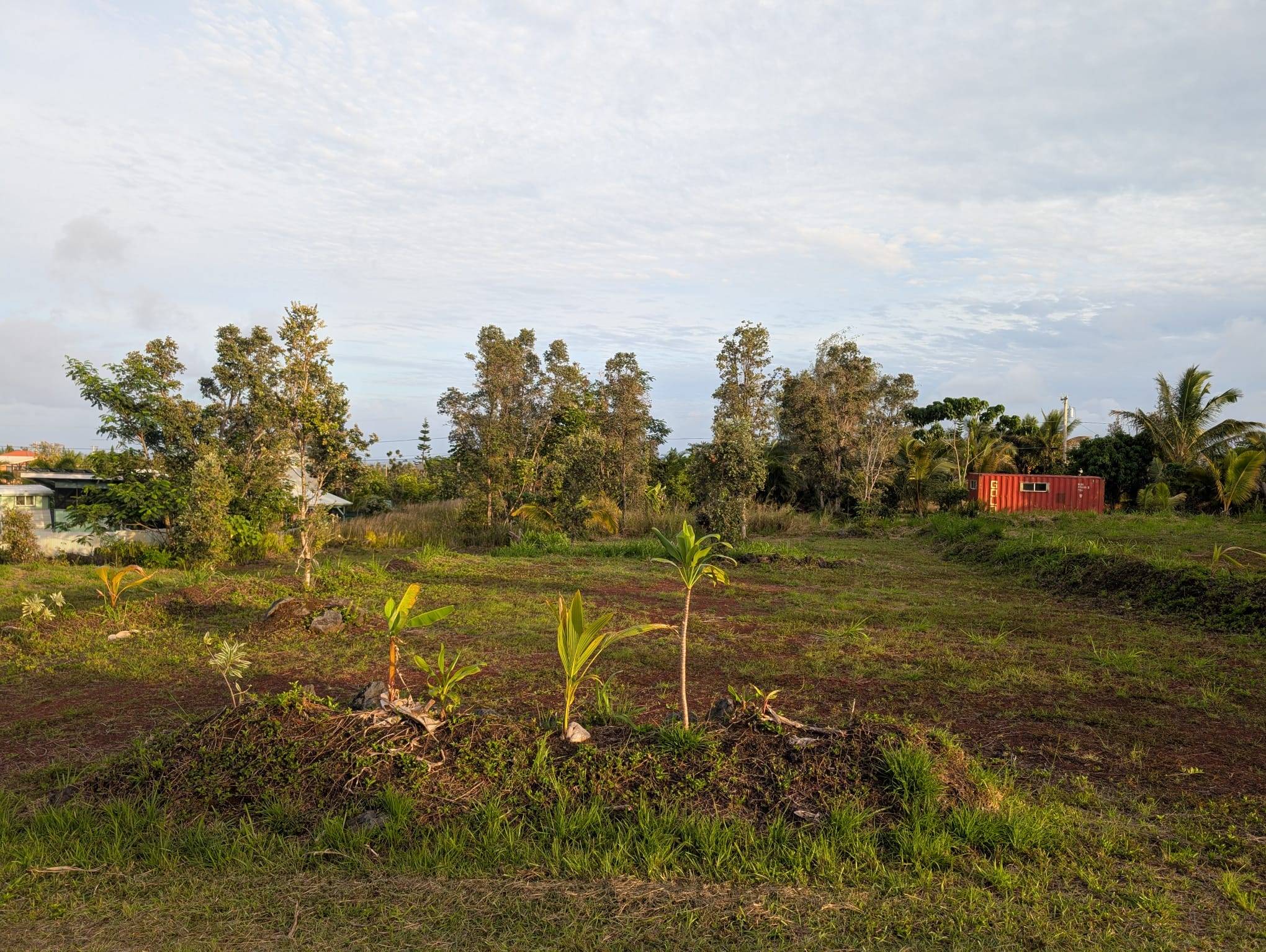 Pahoa, HI 96778,KAMOAMOA ST