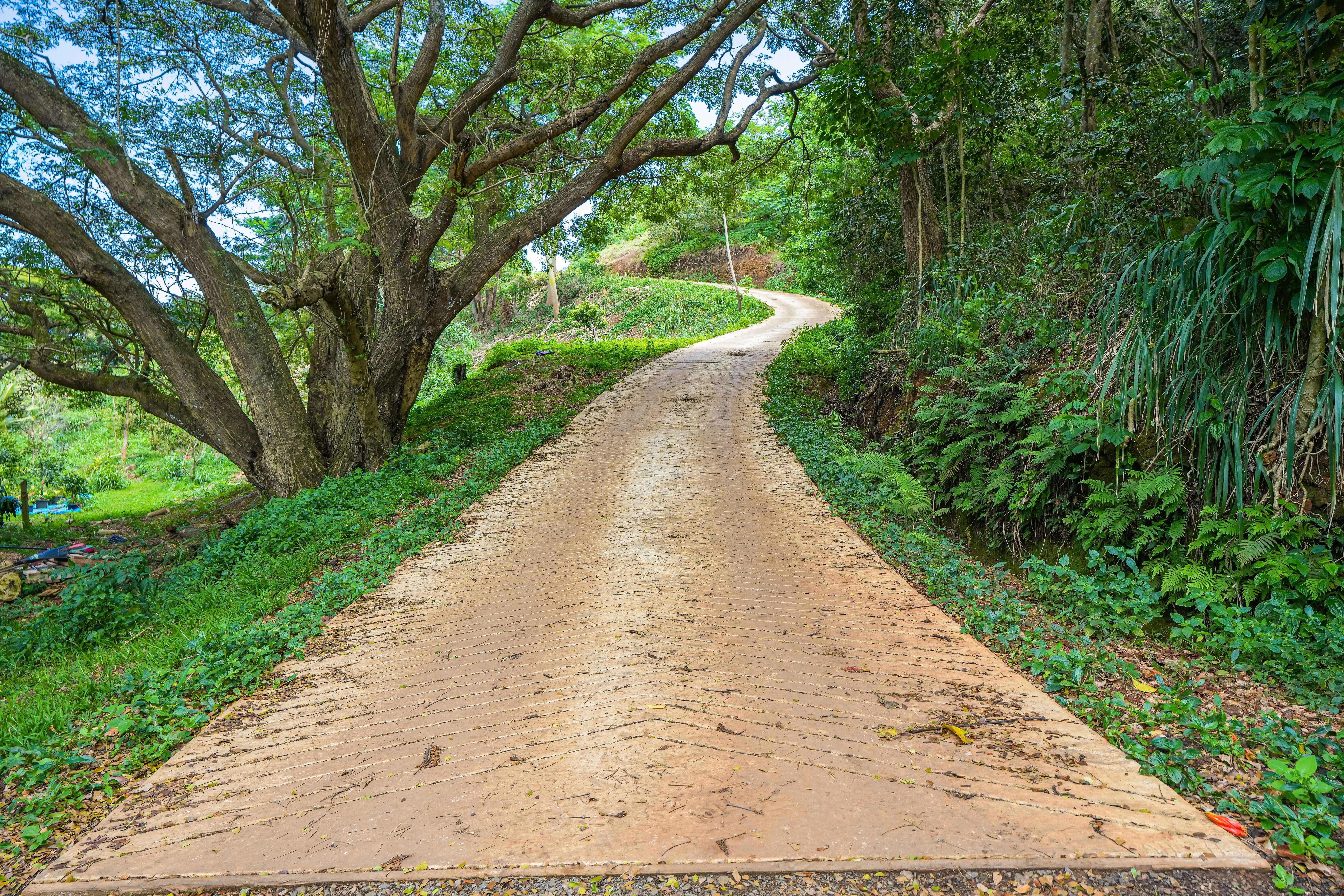 Kapaa, HI 96746,5409 LAIPO RD #2