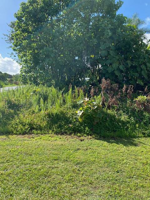 Pahoa, HI 96778,15-2714 OPAKAPAKA ST