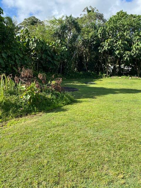 Pahoa, HI 96778,15-2714 OPAKAPAKA ST