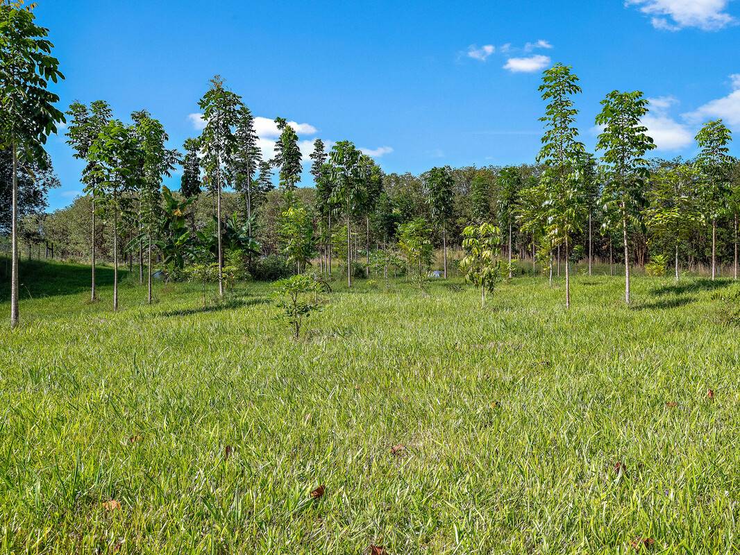 Kurtistown, HI 96760,17-4863 NORTH RD