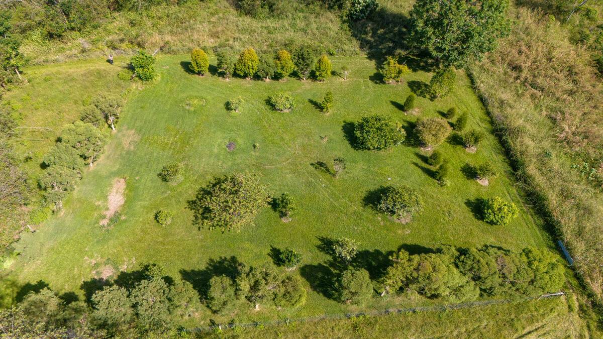 Kurtistown, HI 96760,17-4863 NORTH RD