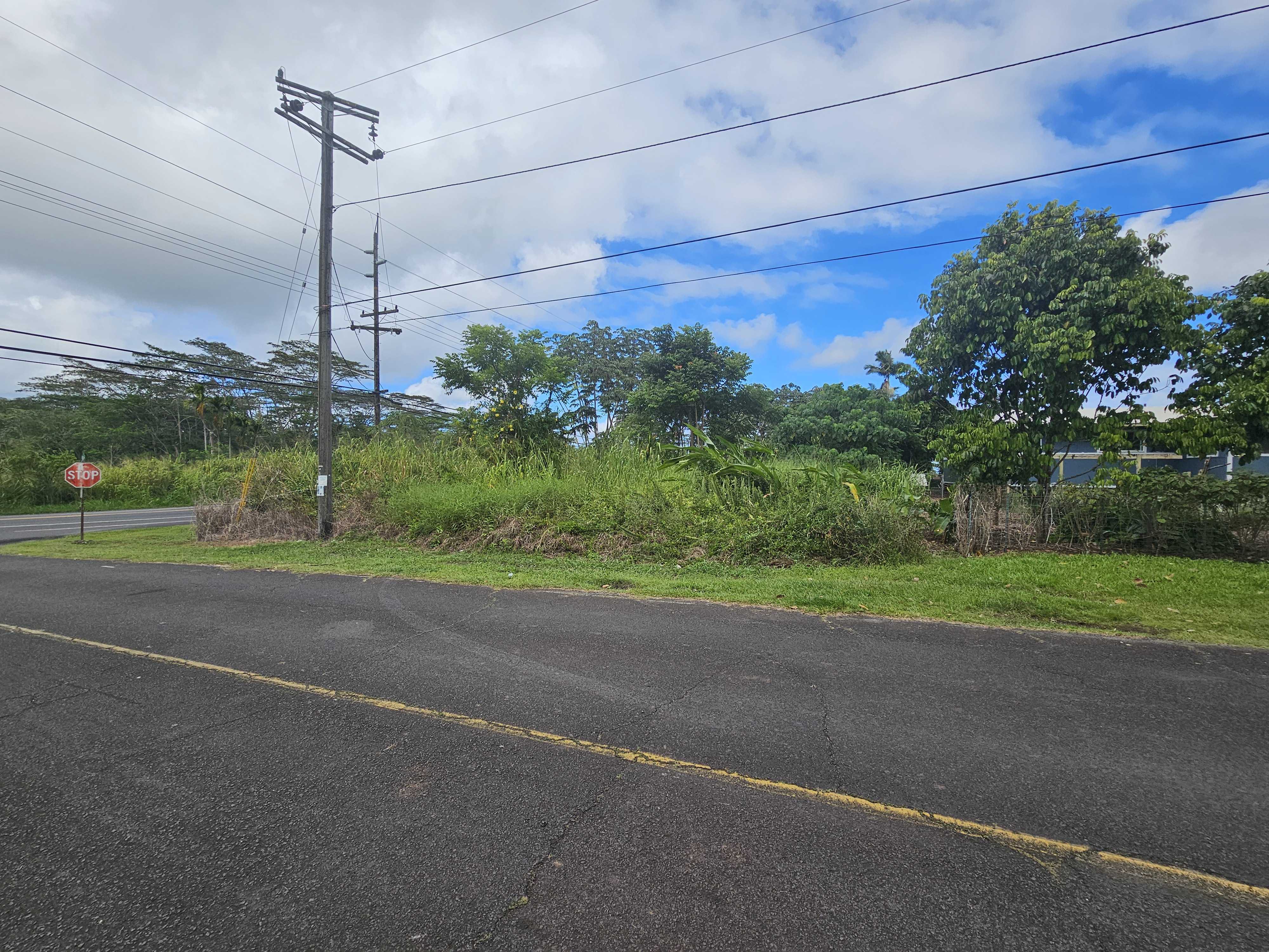 Pahoa, HI 96778,16-2035 AINALOA WAY