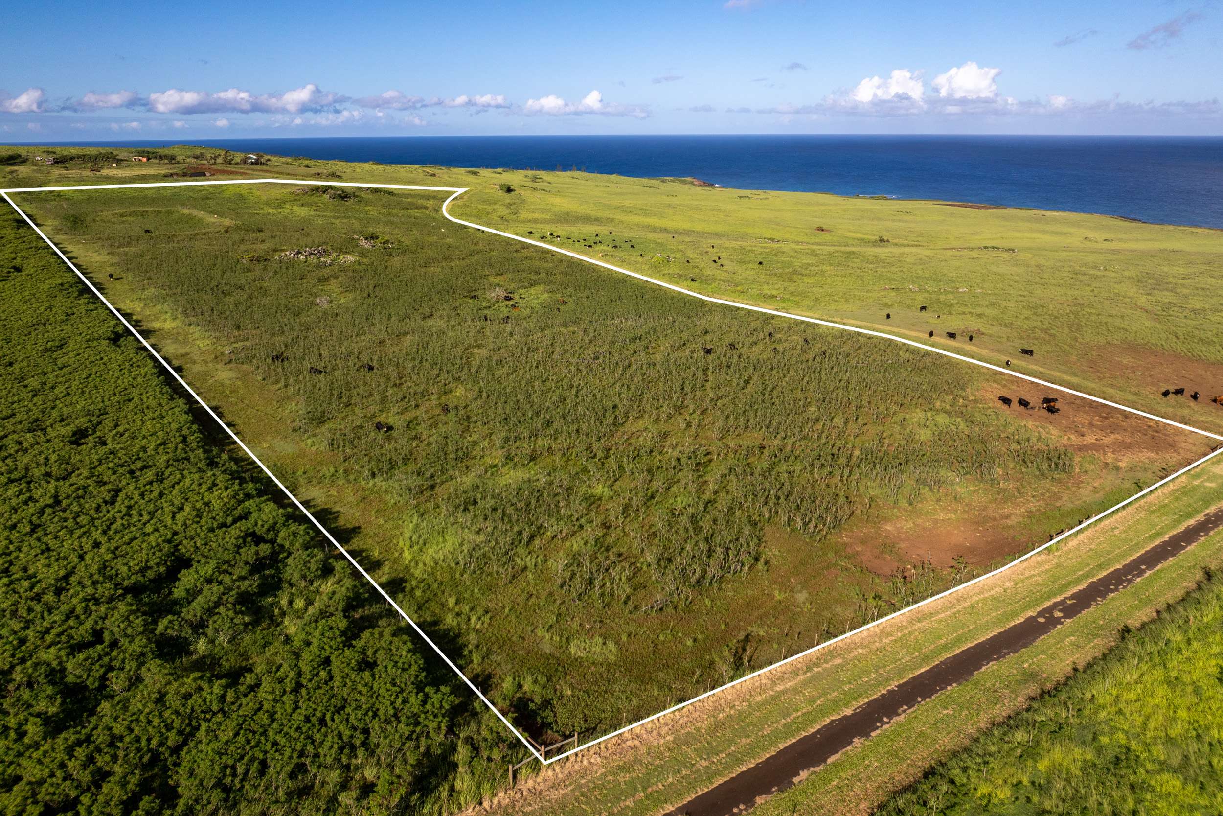 LINCOLN AVE, Hawi, HI 96719