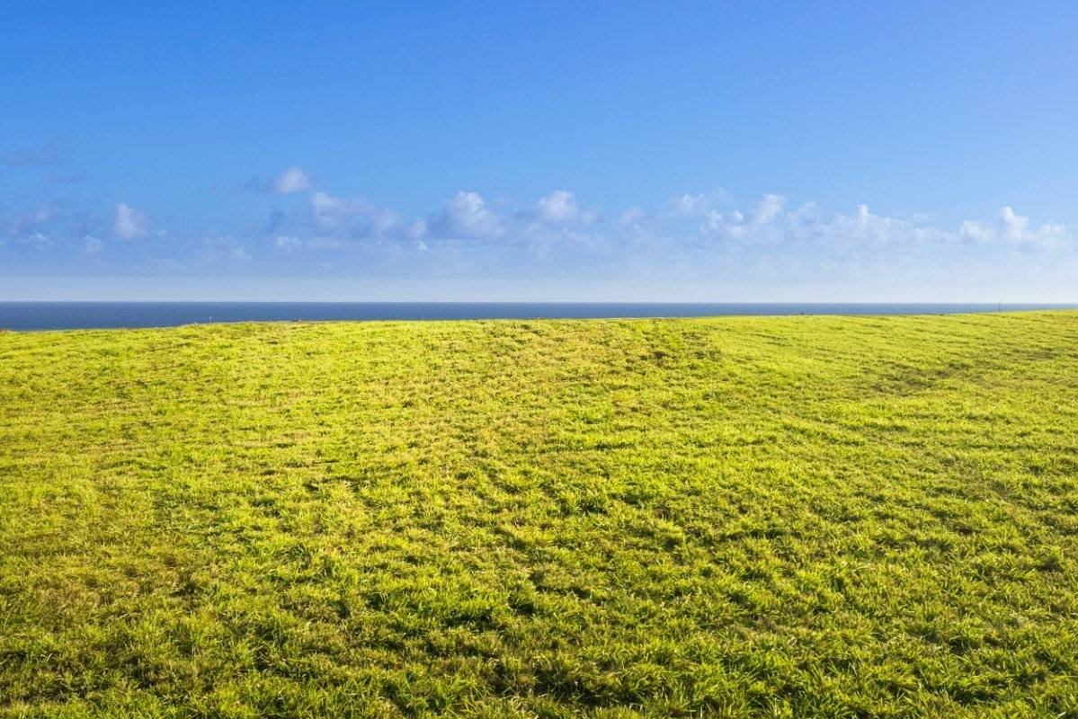 Koloa, HI 96756,6 Aka Ula Pl