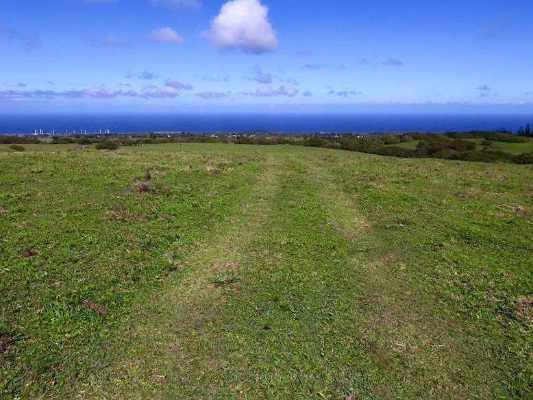 Hawi, HI 96719