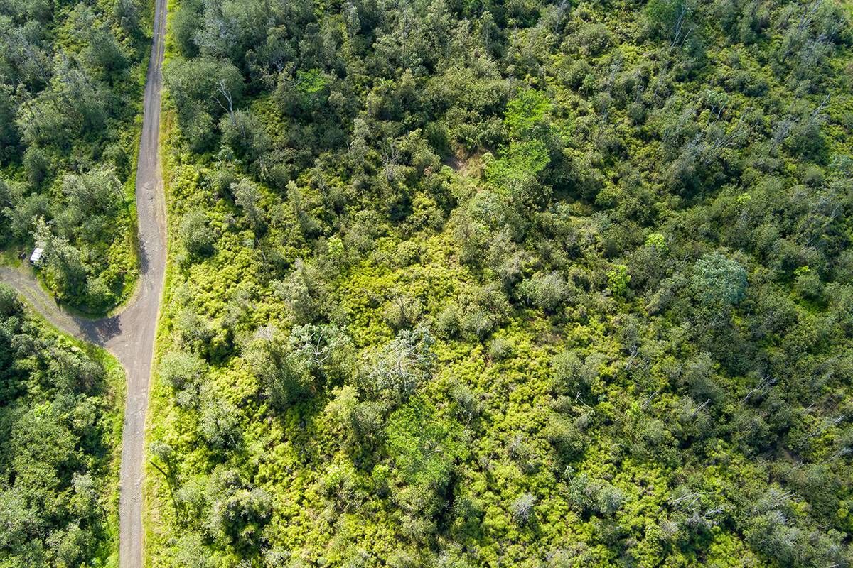 Keaau, HI 96749,KEHAULANI ST