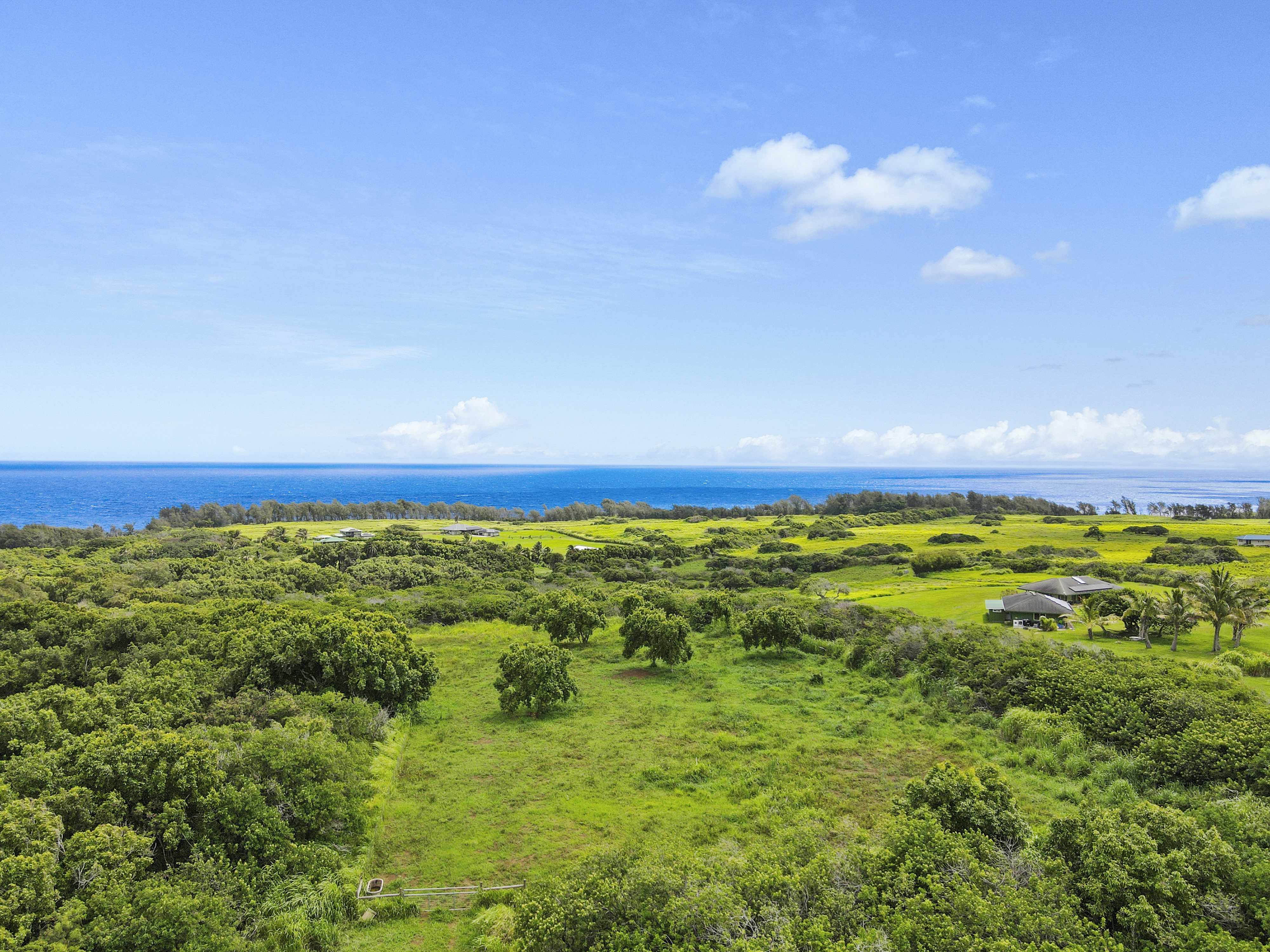Kapaau, HI 96755,53-338 KAPANAIA RD