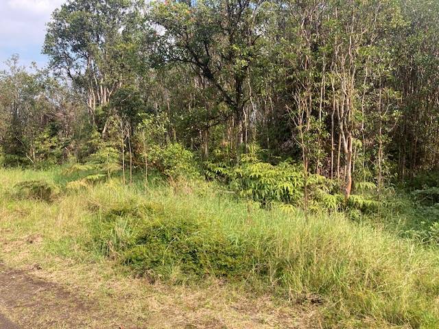 Volcano, HI 96785,ROAD 5