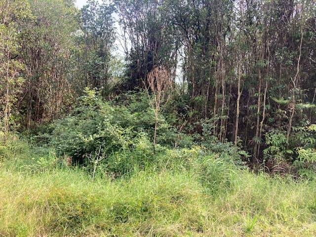 Volcano, HI 96785,ROAD 5