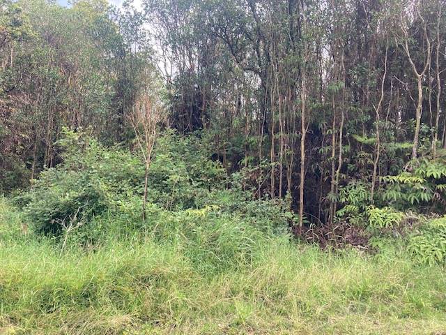 Volcano, HI 96785,ROAD 5