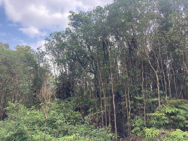 Volcano, HI 96785,ROAD 5