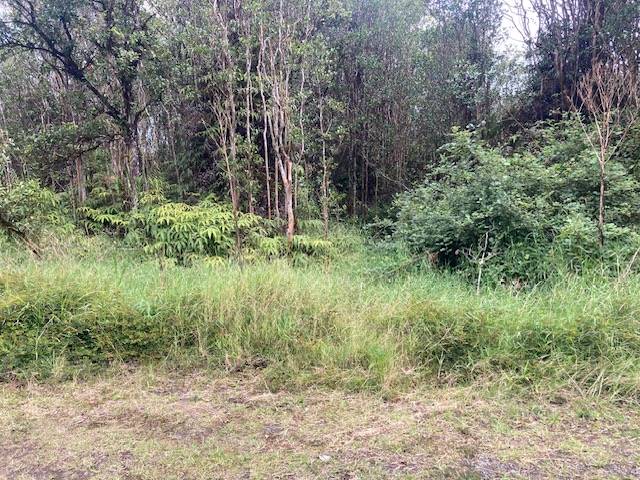 Volcano, HI 96785,ROAD 5