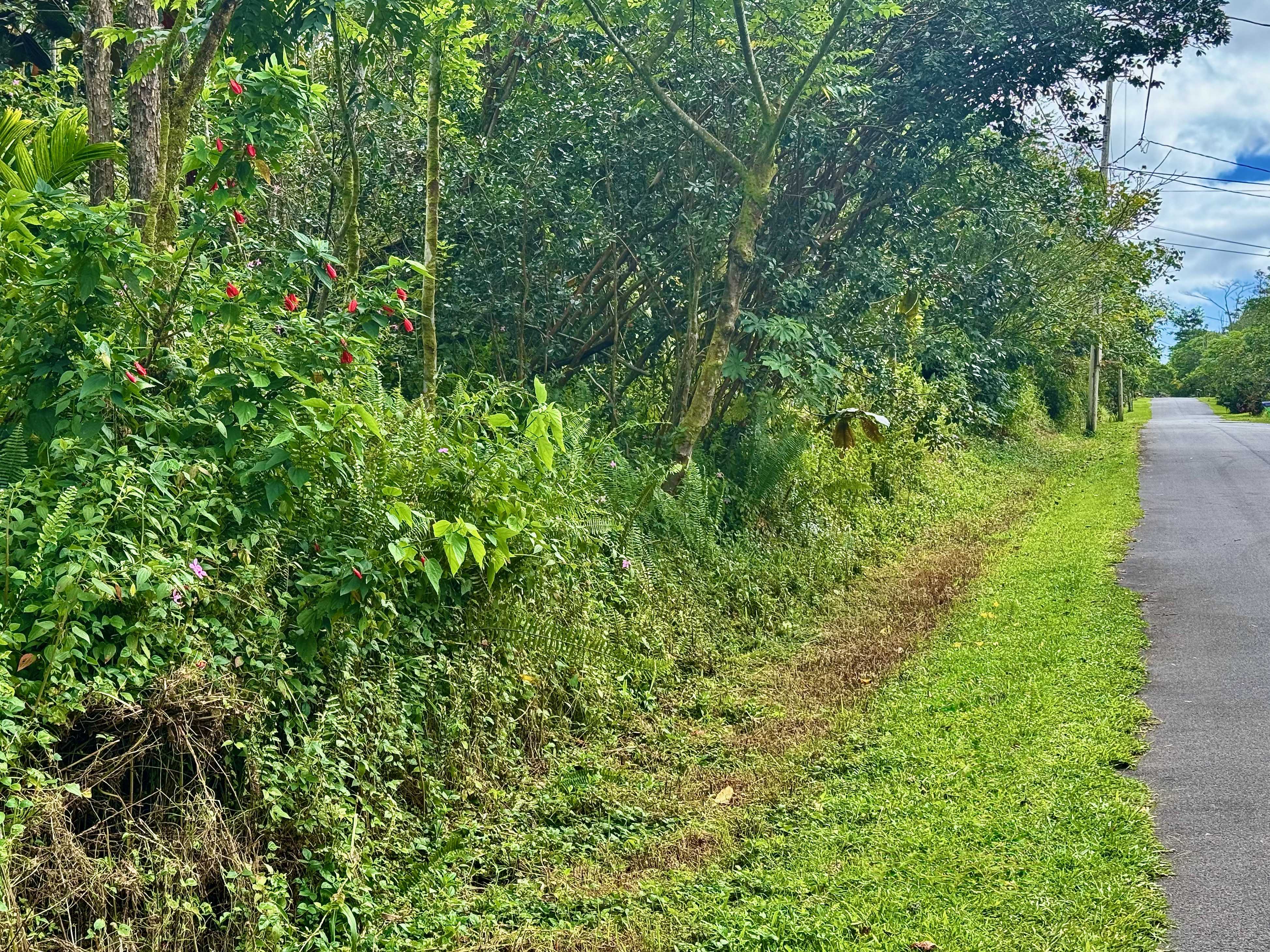 Pahoa, HI 96778,NOHEA ST