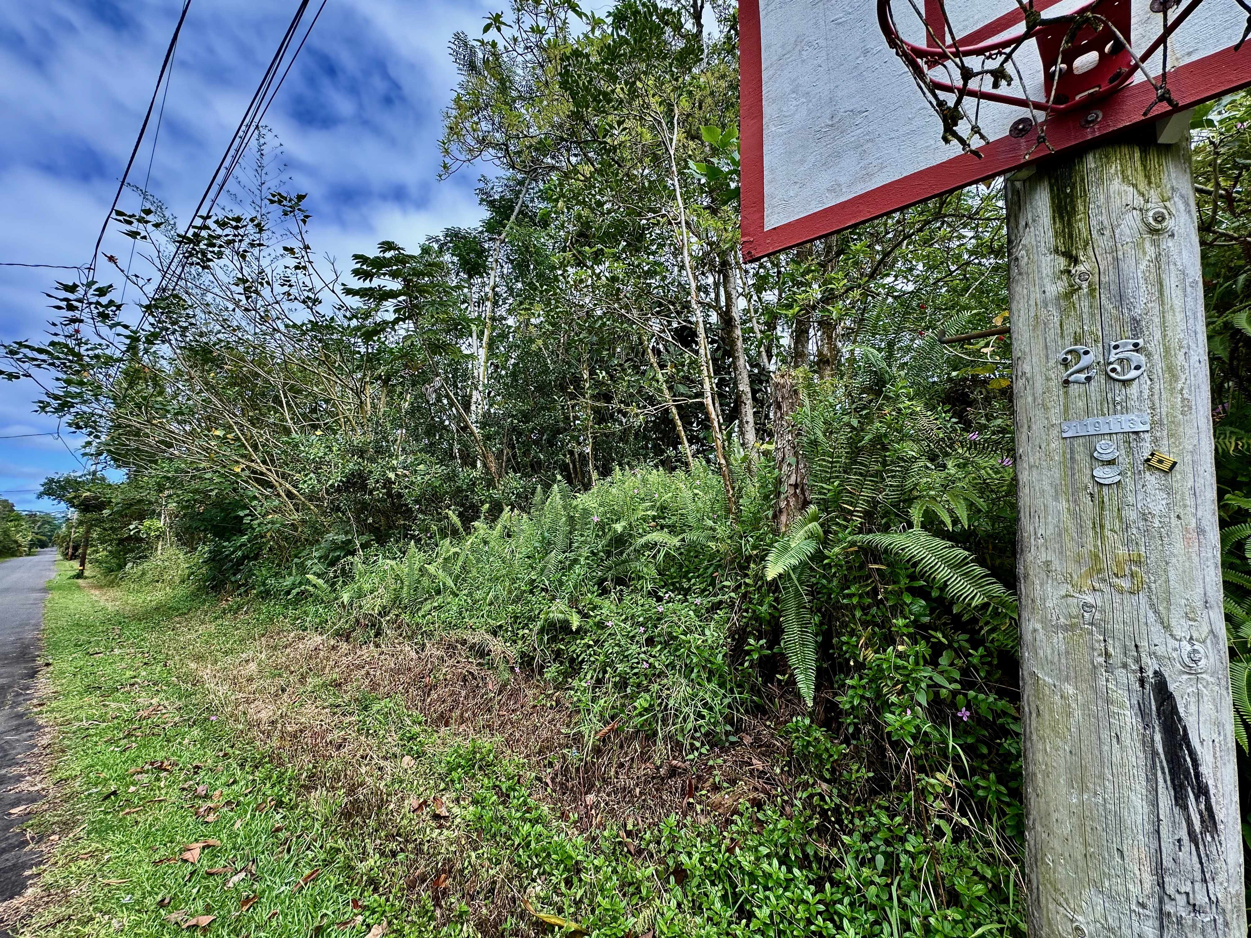 Pahoa, HI 96778,NOHEA ST