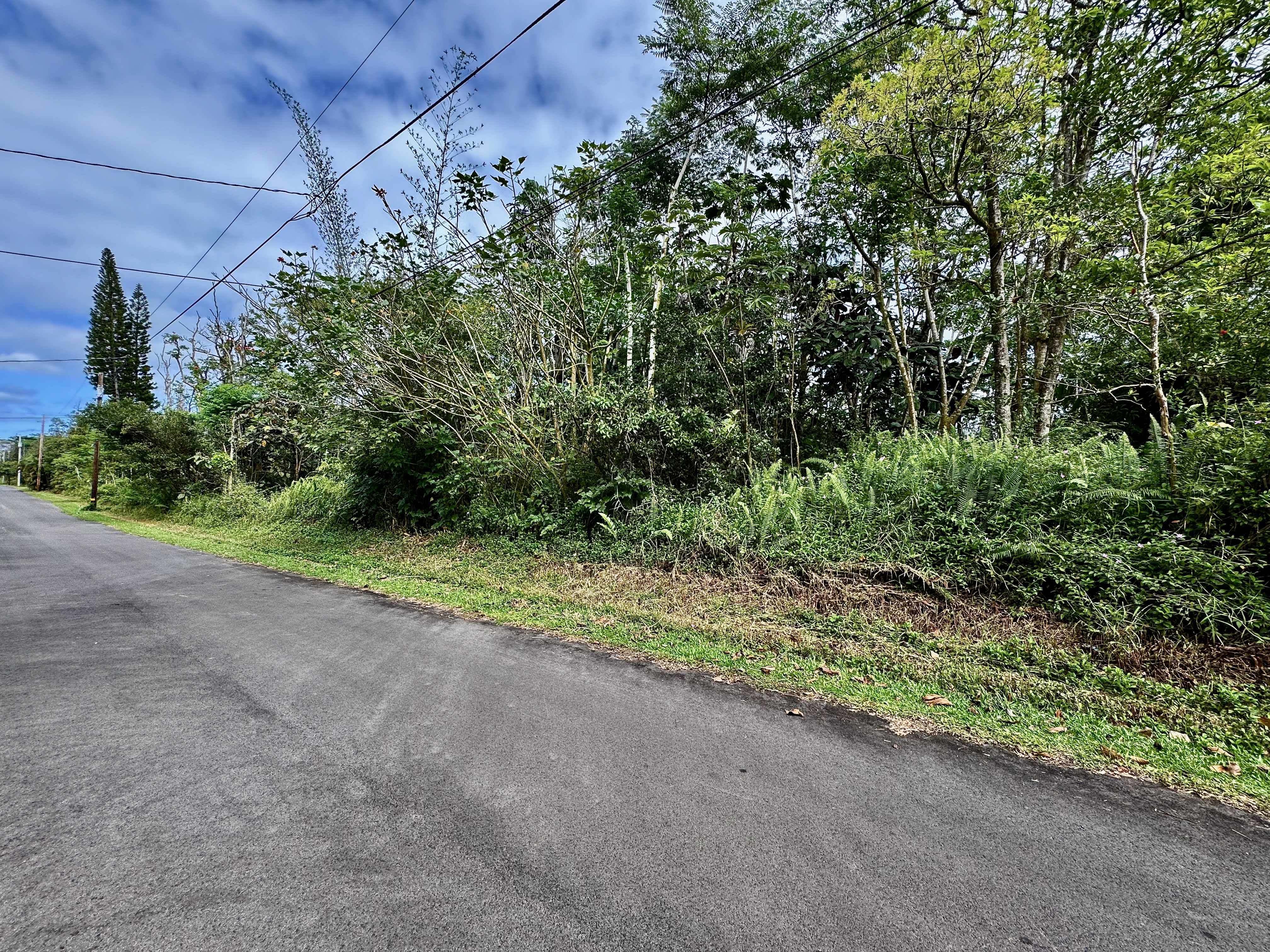 Pahoa, HI 96778,NOHEA ST