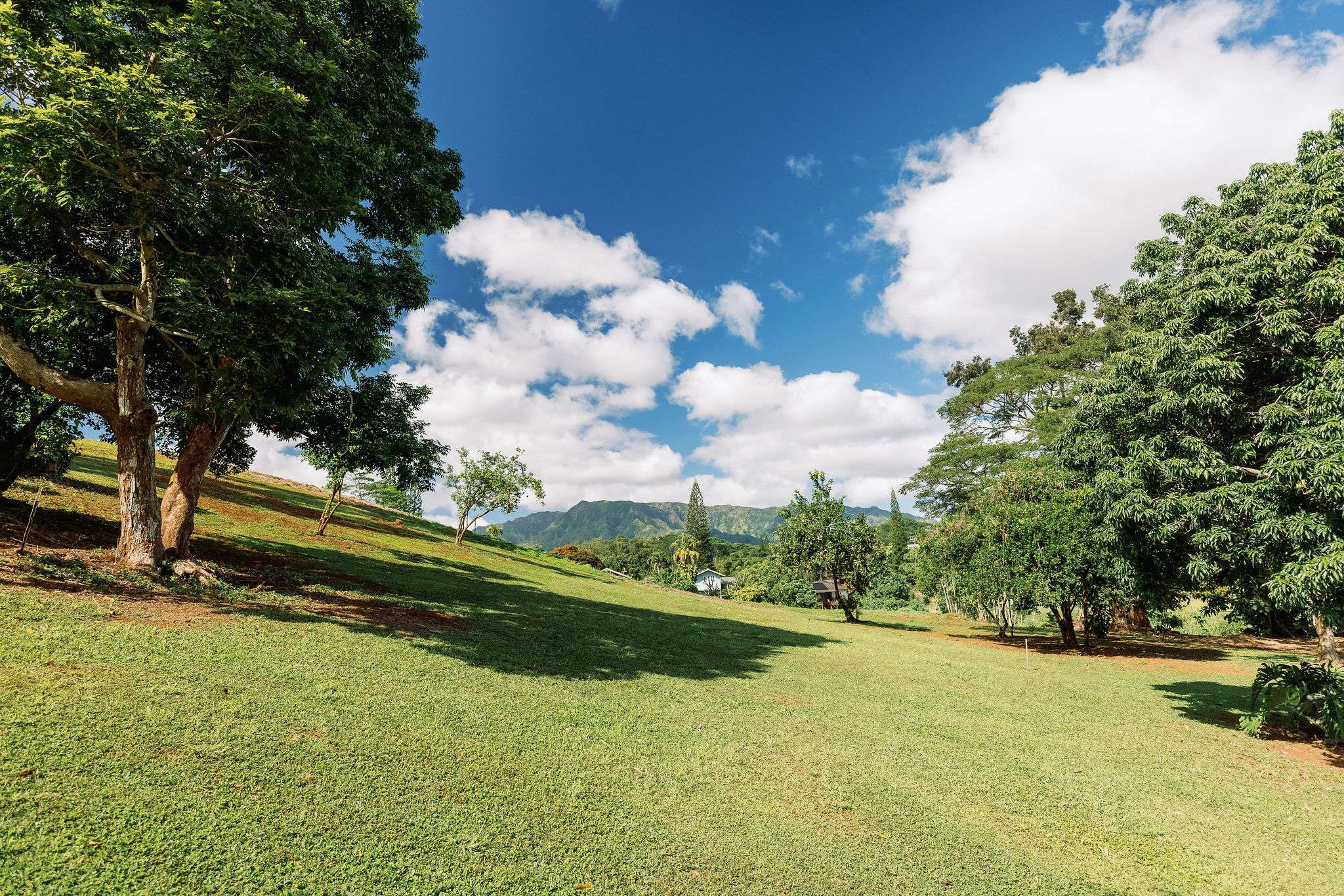 Kapaa, HI 96746,6546-D KUAMOO RD #4