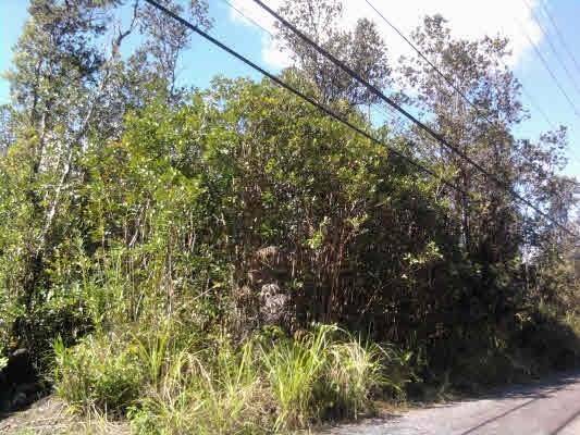 Mountain View, HI 96760,ROAD 2 (AO)