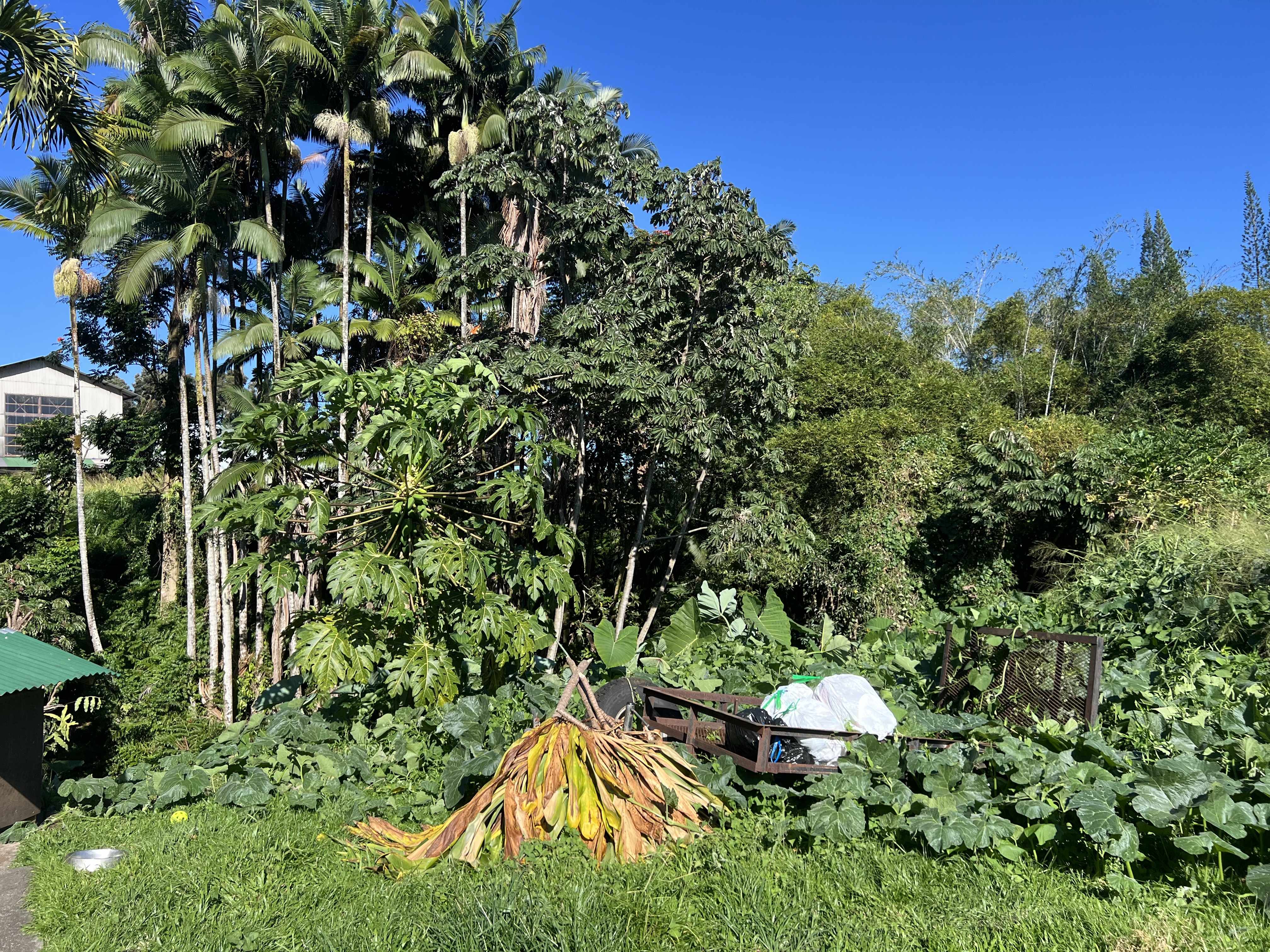 Hilo, HI 96720,430 KAIWIKI RD