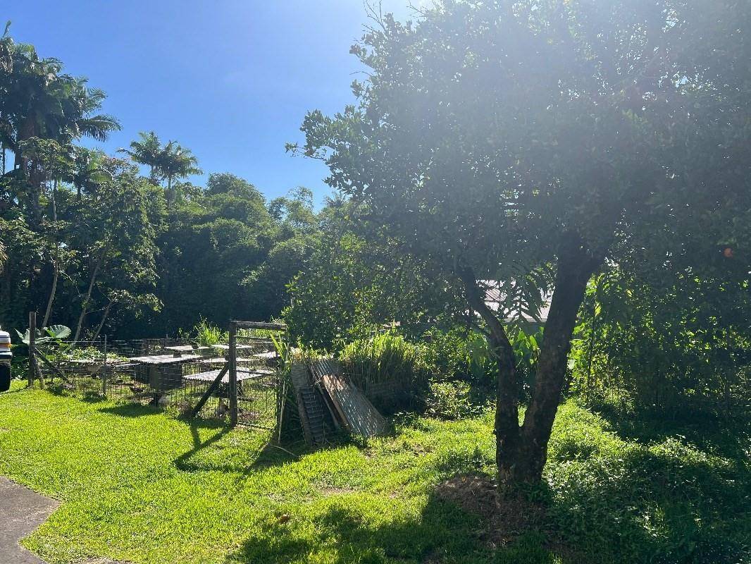 Hilo, HI 96720,430 KAIWIKI RD