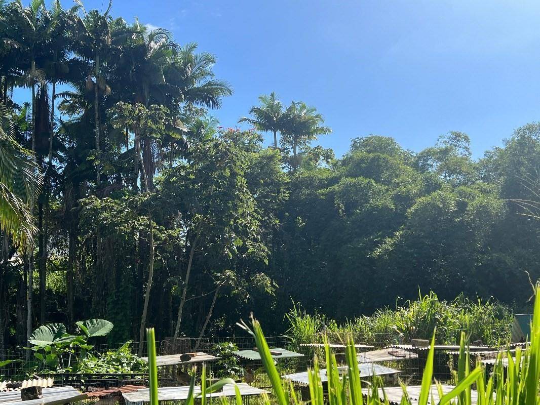 Hilo, HI 96720,430 KAIWIKI RD