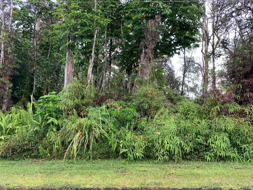 Pahoa, HI 96778,LAI ST