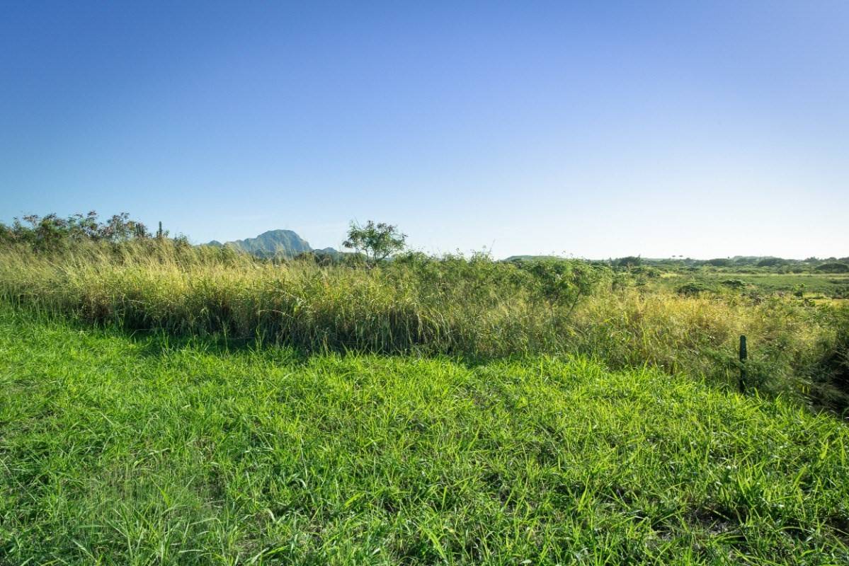 Koloa, HI 96756,KALAHIKI ST