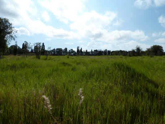 Mountain View, HI 96785,VOLCANO HWY