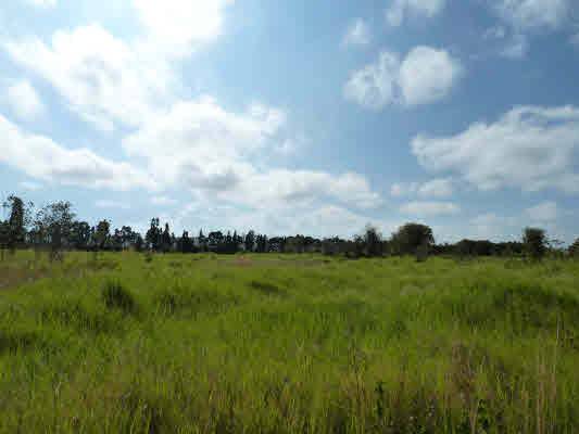 Mountain View, HI 96785,VOLCANO HWY