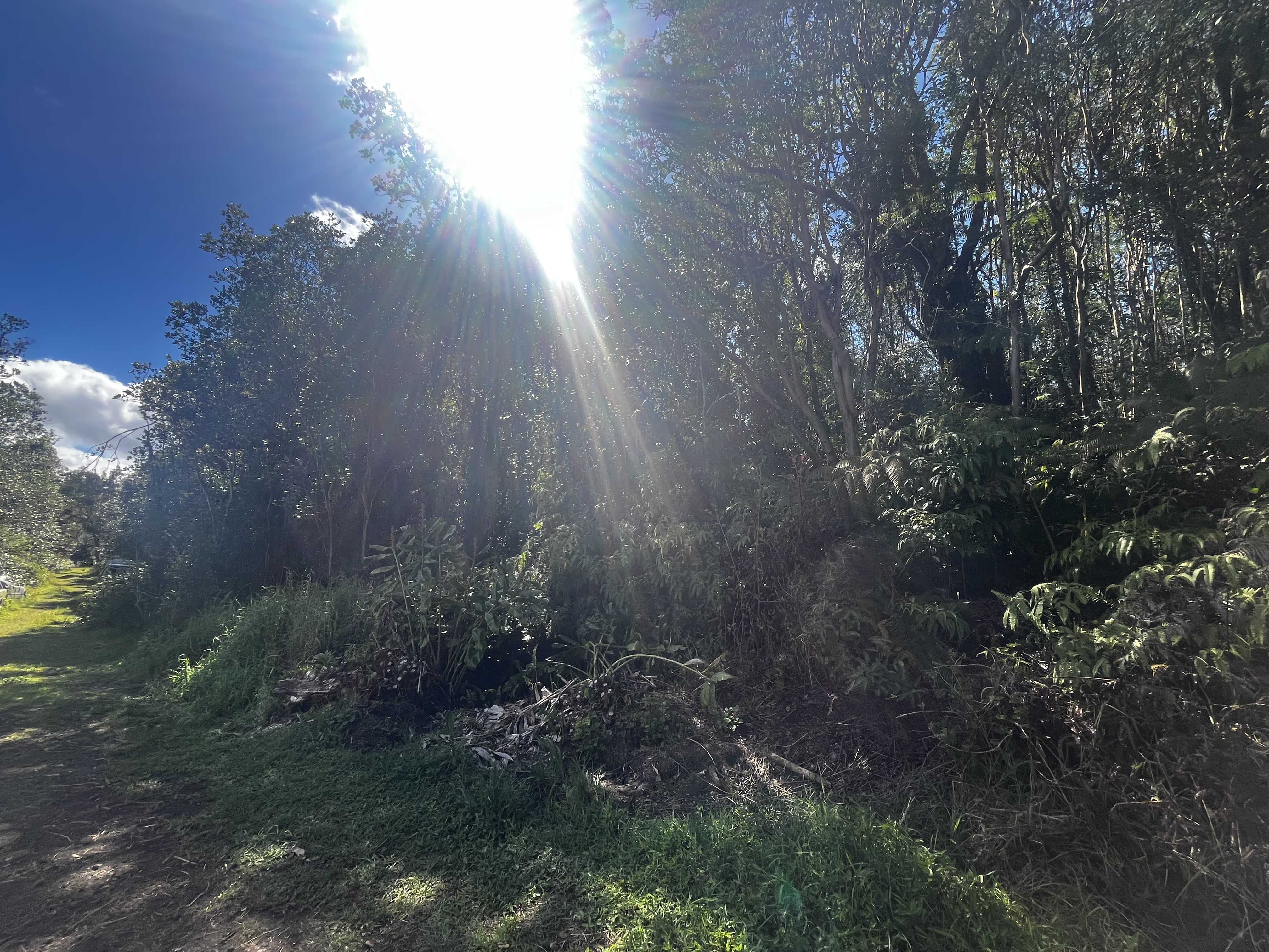 Volcano, HI 96785,ROAD 4